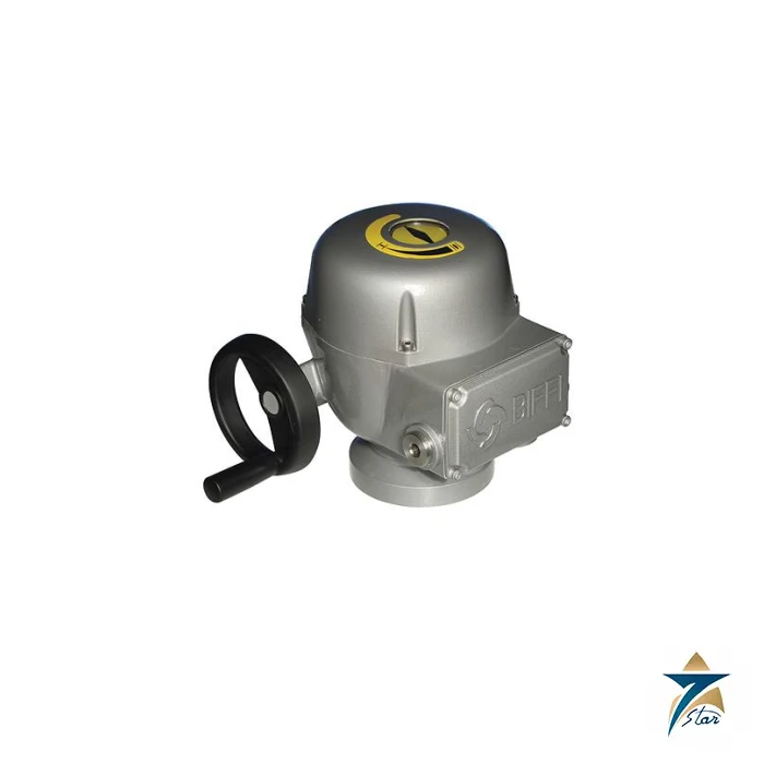 Biffi F02 Electric Quarter-Turn Actuator Supplied by Authorized Partner Seven Star LLC