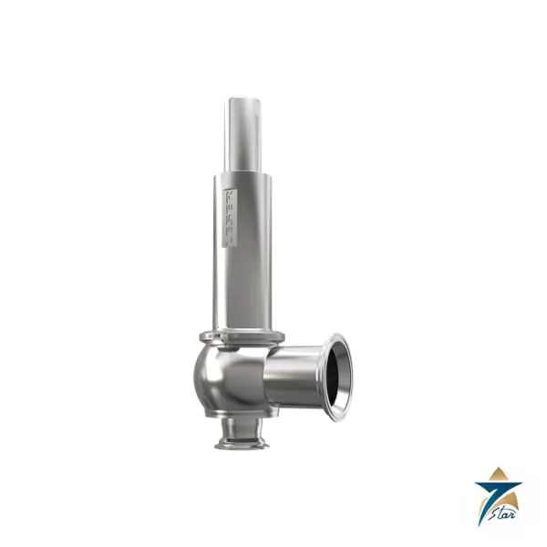 LESER Type 488 Clean Service Safety Valve Supplied by Seven Star LLC