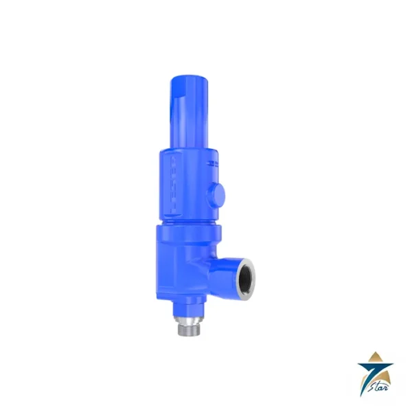 LESER Compact Performance Series Safety Valves Supplied by Seven Star LLC