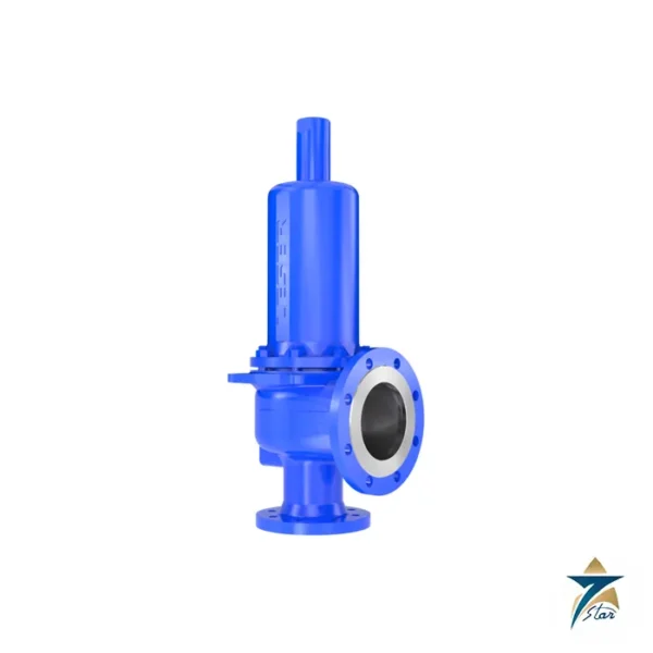 LESER High Performance Series Type 441/442 Safety Valves Supplied by Seven Star LLC