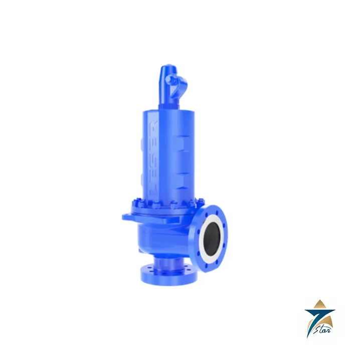 LESER High Pressure Series Safety Valves Supplied by Seven Star LLC