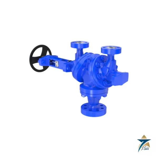 LESER Type 310 Change-Over Valve Supplied by Seven Star LLC
