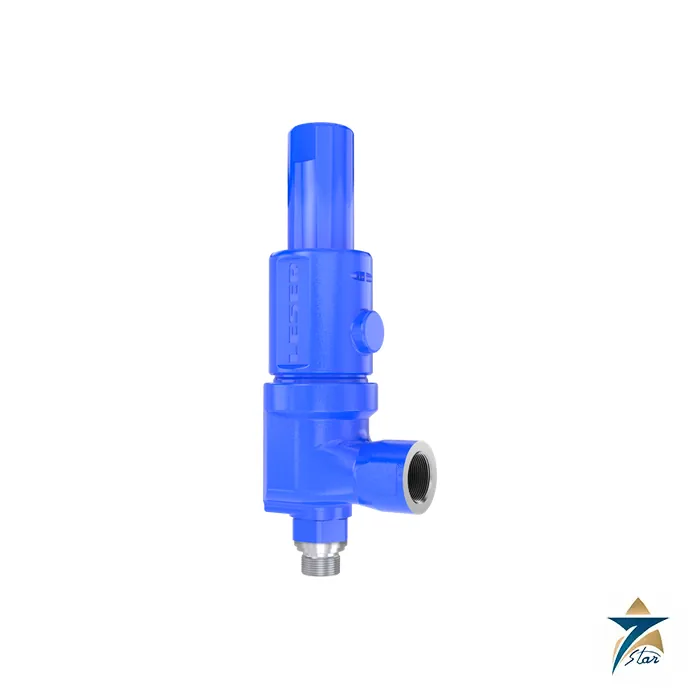 LESER Type 462 Soft-Seal Threaded Safety Valve Supplied by Seven Star LLC