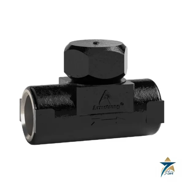 Armstrong CD-33 stainless steel disc steam trap with NPT connections (official product photo)