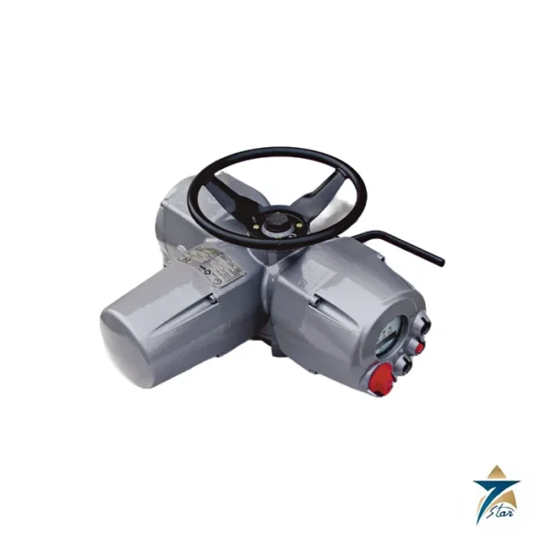 Biffi ICON2000 Electric Multi-Turn Actuator Supplied by Seven Star LLC
