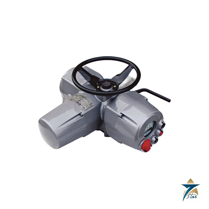 Biffi ICON2000 Electric Multi-Turn Actuator Biffi ICON2000 Electric Multi-Turn Actuator Supplied by Seven Star LLC