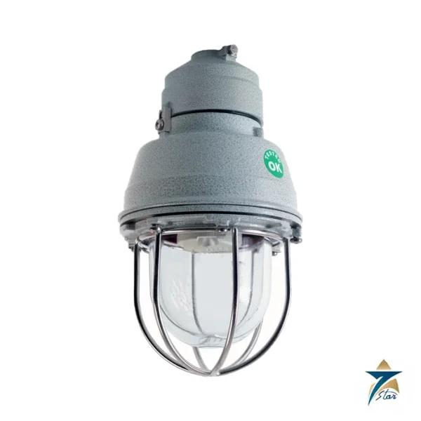 Cortem EV Ex d luminaire with glass globe and stainless guard