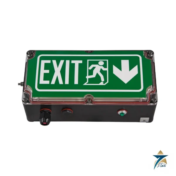 Cortem EXit-P Ex LED emergency exit luminaire with pictogram