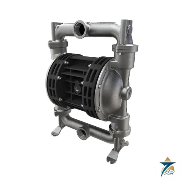 Debem Boxer 252 AISI 316 air-operated diaphragm pump
