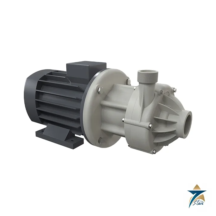 debem-dm-30 Debem DM 30 magnetic drive centrifugal pump