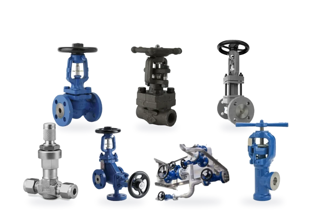 Globe Valves supplied by Seven Star LLC in Oman