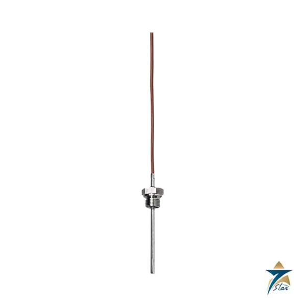 JUMO 902050 screw-in RTD temperature probe with connection line
