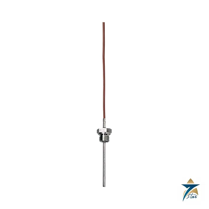 jumo-902050 JUMO 902050 screw-in RTD temperature probe with connection line