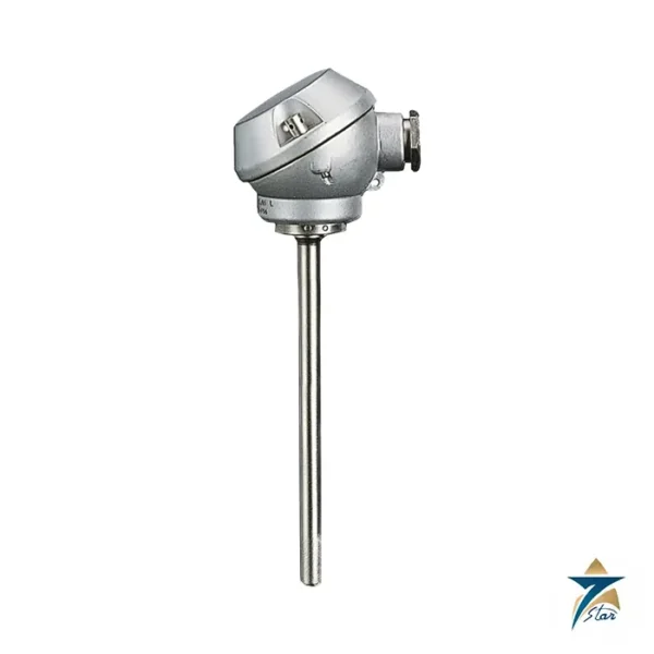 JUMO 902130 push-in RTD temperature probe with terminal head form J